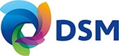 logo_dsm